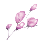 18-Flower-Watercolor.png